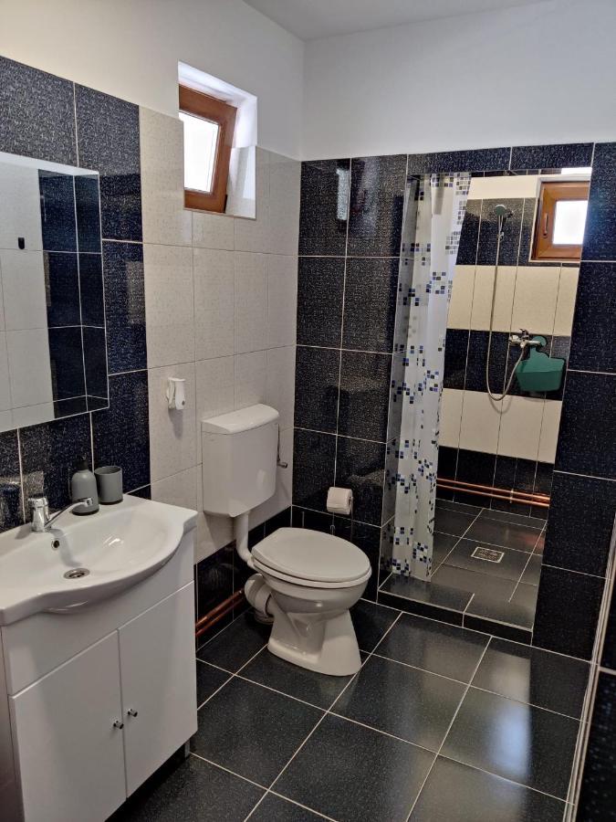 Casa Marina Konuk evi Călimăneşti Dış mekan fotoğraf